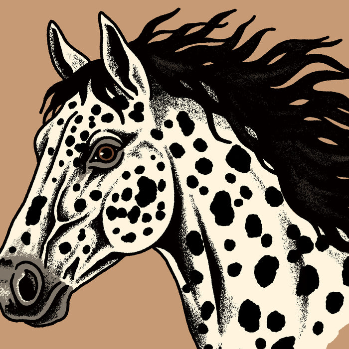 Horse Head (Appaloosa) Giclée Print