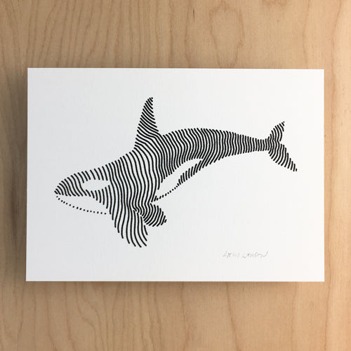 Lined Orca - Signed Print #138