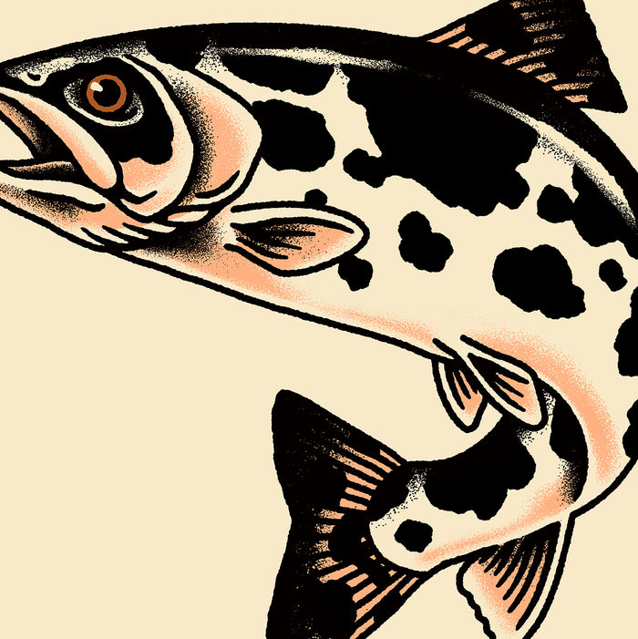 Rare Cow Trout Giclée Print