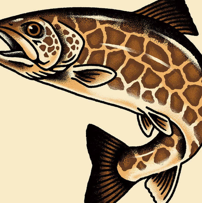 Rare Giraffe Trout Giclée Print