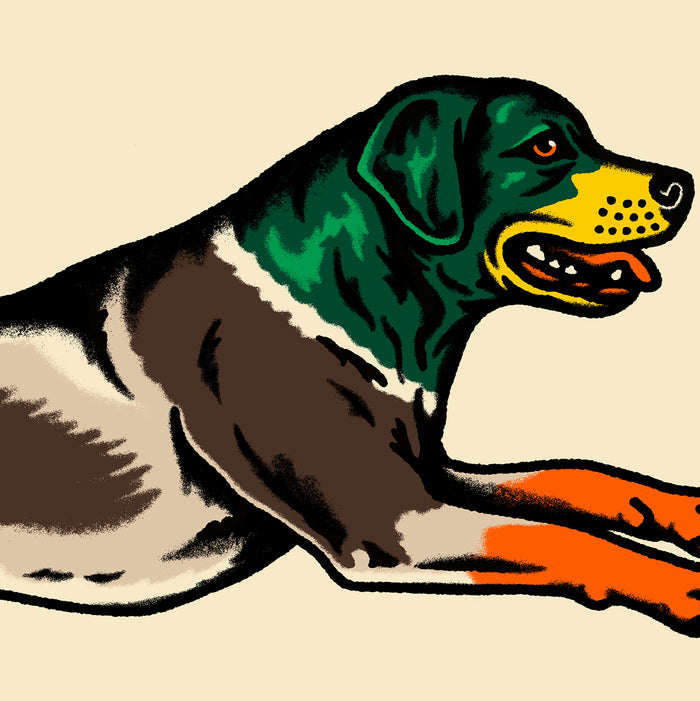Labrador Mallard Giclée Print