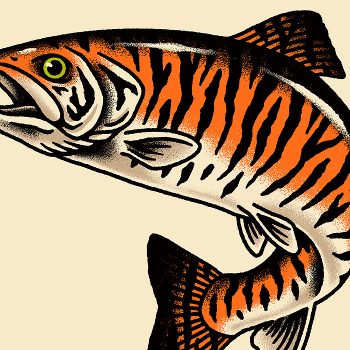 Rare Bengal Trout Giclée Print