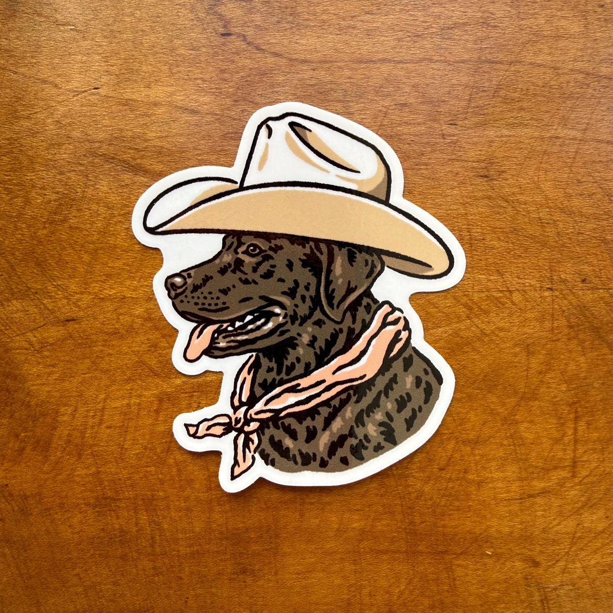 Chocolate Lab Cowdog Glossy Sticker