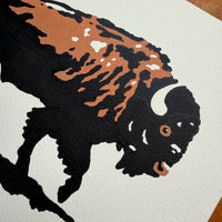 Plains King 10x8in Original Paint Pen Drawing