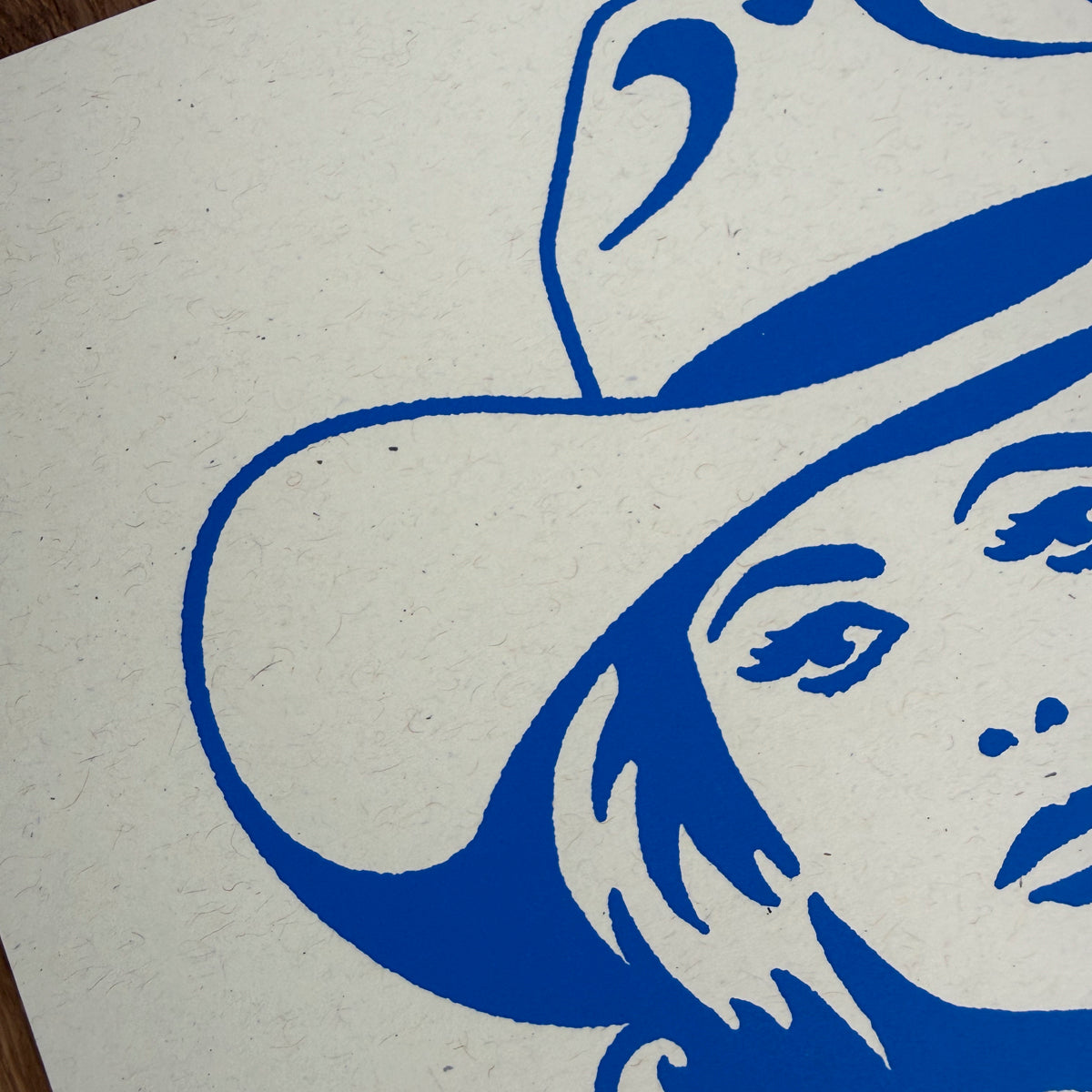 Double Vision - Signed 10x8in Silkscreen Print on Recycled Paper