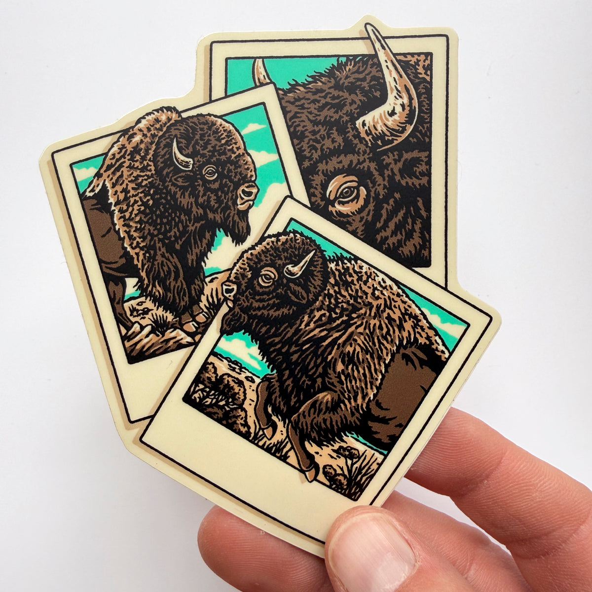 Bison Polaroid  - 4 Inch Matte Vinyl Western Nature Buffalo Sticker