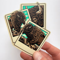 Bison Polaroid  - 4 Inch Matte Vinyl Western Nature Buffalo Sticker