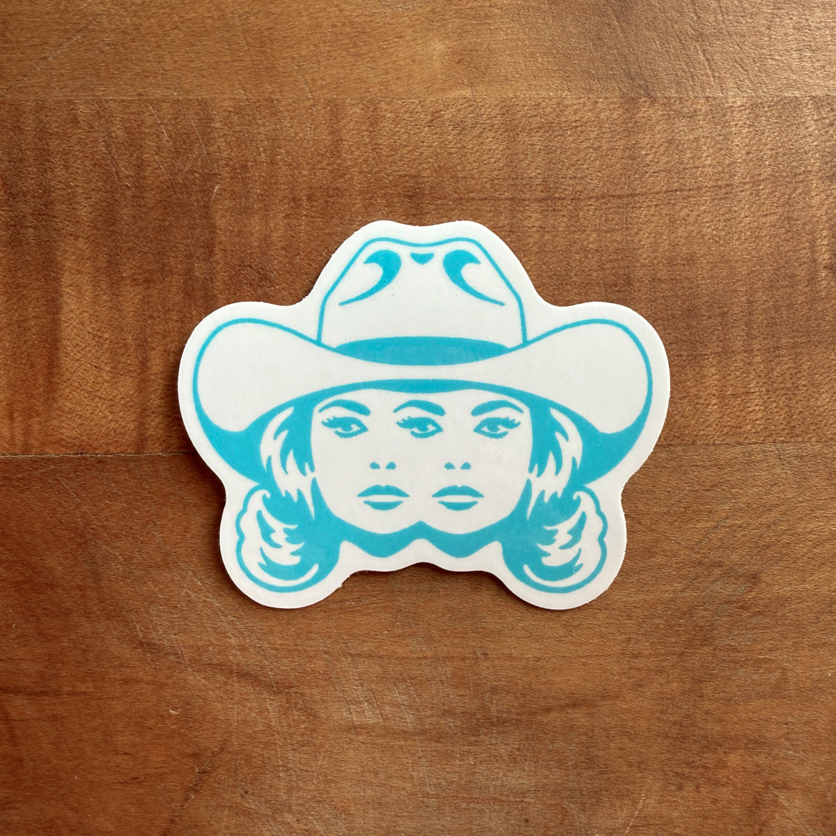 Double Vision (Glacier) Glossy Sticker – Steel Bison