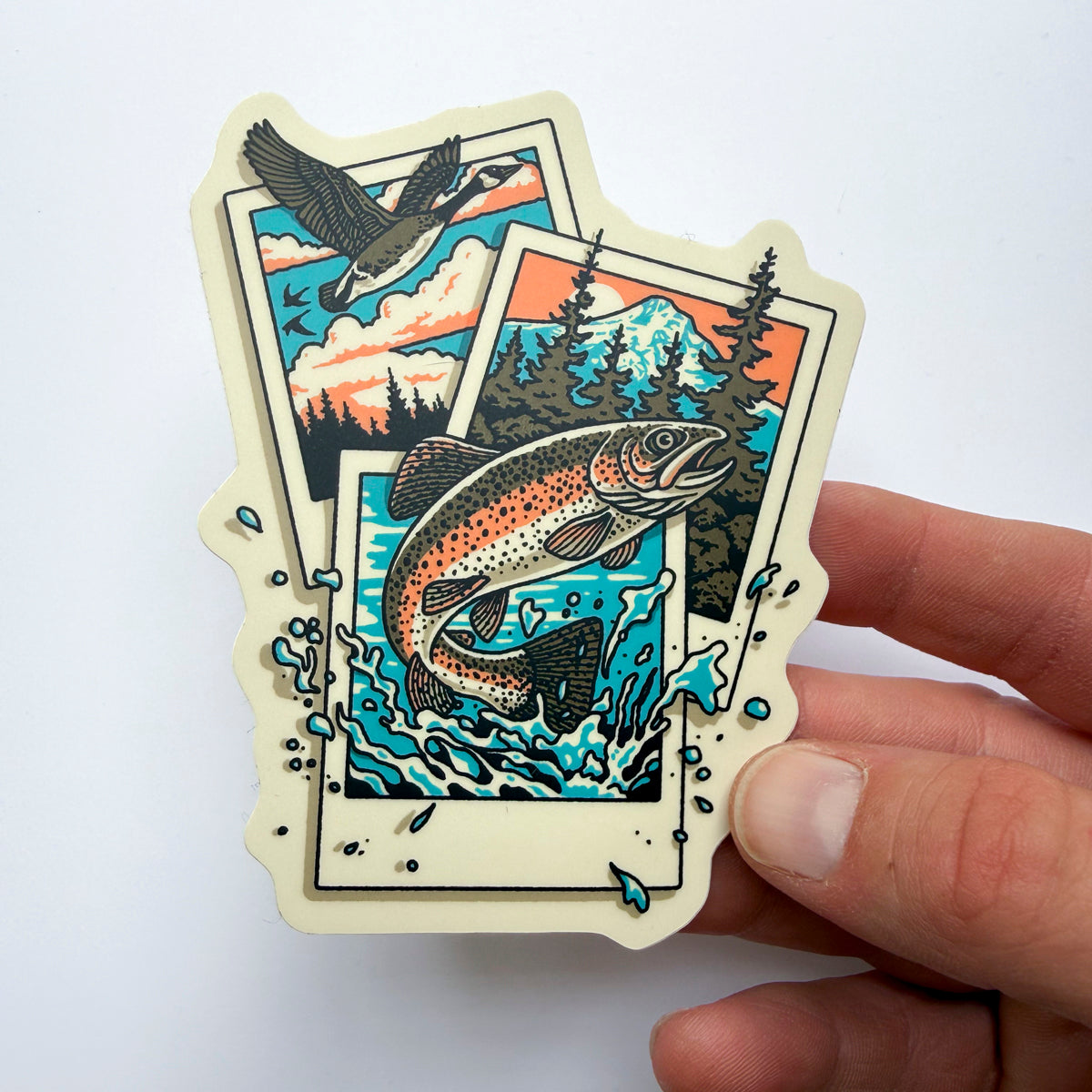 Rainbow Trout Polaroid  - 4 Inch Matte Vinyl Nature Fishing Sticker