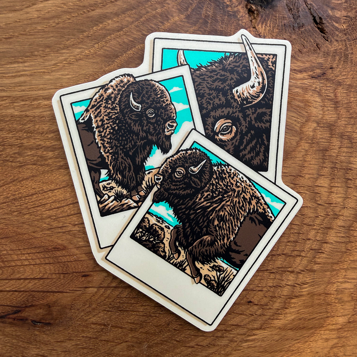 Bison Polaroid  - 4 Inch Matte Vinyl Western Nature Buffalo Sticker