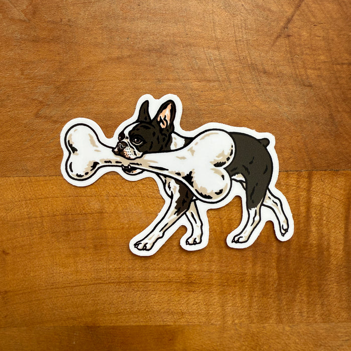 Big Bone Boston Glossy Sticker