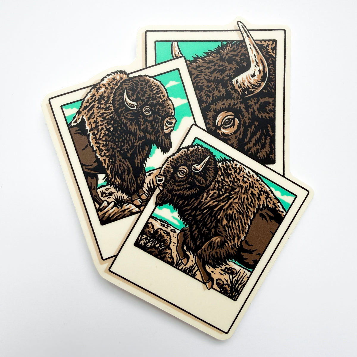 Bison Polaroid  - 4 Inch Matte Vinyl Western Nature Buffalo Sticker