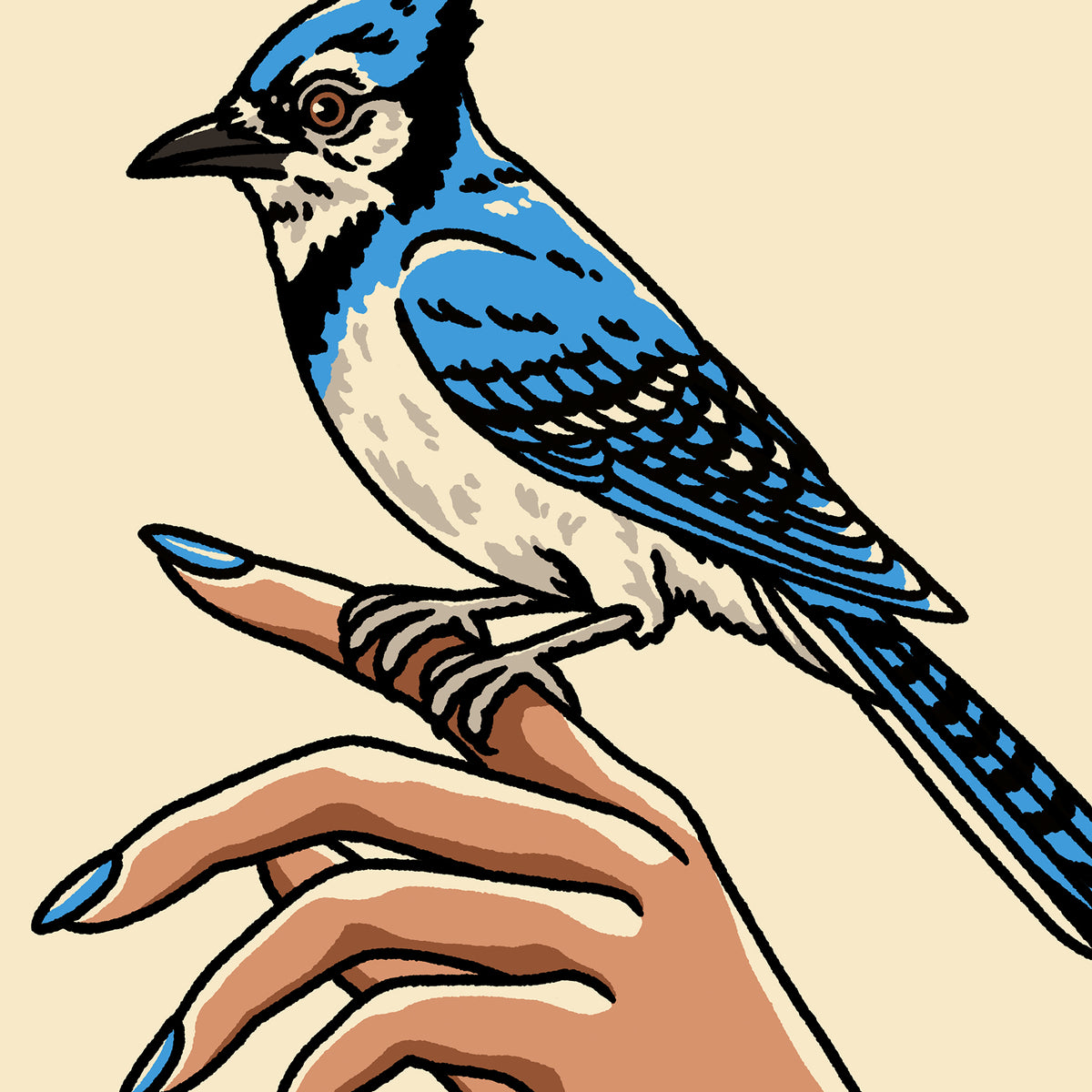 Blue Jay Hand Giclée Print