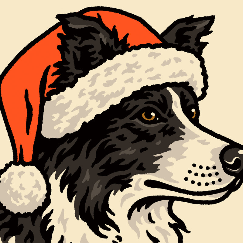 Border Collie Christmas Giclée Print