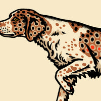 Brittany Brown Trout Giclée Print