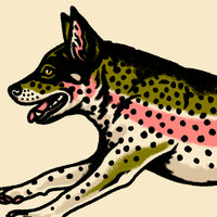Heeler Rainbow Trout Giclée Print