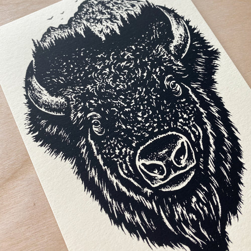 SOLD OUT. Bison Wilderness - Signed 5x7in Print #230