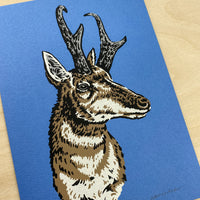 Colorado Pronghorn - Signed 5x7in Print #221