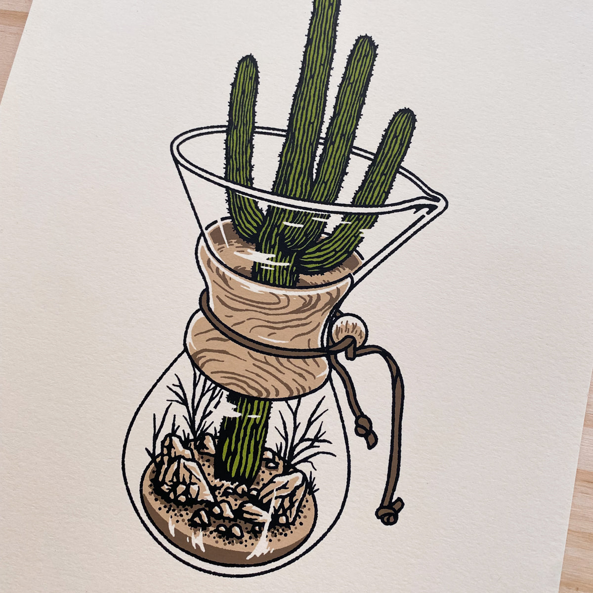 Chemex Cactus - 8x10in Print #390