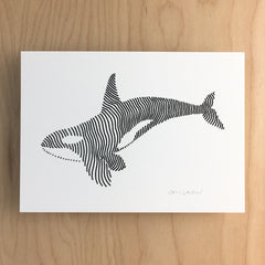 Lined Orca - Signed Print #138