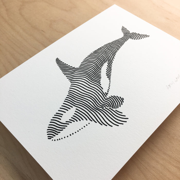 Lined Orca - Signed 5x7in Silkscreen Print